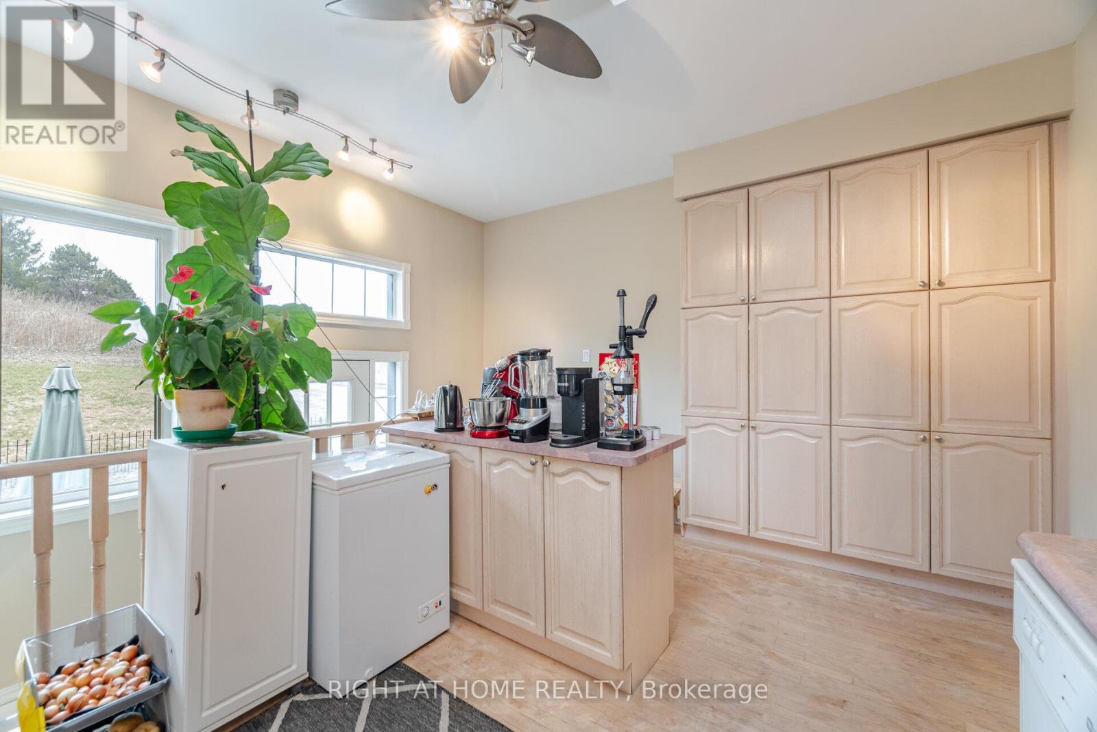 257 Anthony Avenue, Mississauga, Ontario  L4Z 3V4 - Photo 14 - W12375945