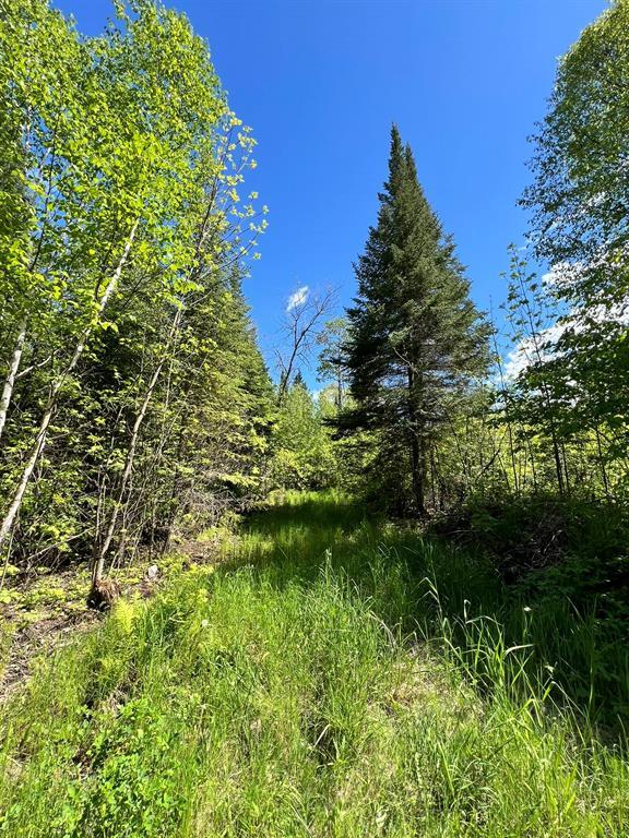 67 Pelican Inlet Road, manigotagan, Manitoba