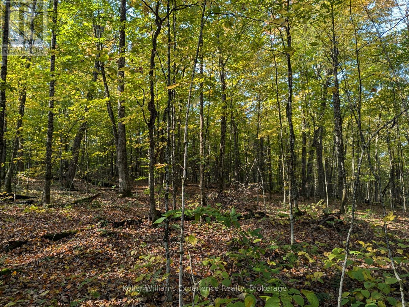 0 Healey Lake Road, Bracebridge (Macaulay), Ontario  P1L 1X3 - Photo 5 - X12376386