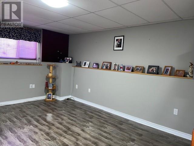 59 Maryland Drive, Stephenville, Newfoundland & Labrador  A2N 2V7 - Photo 41 - 1279033
