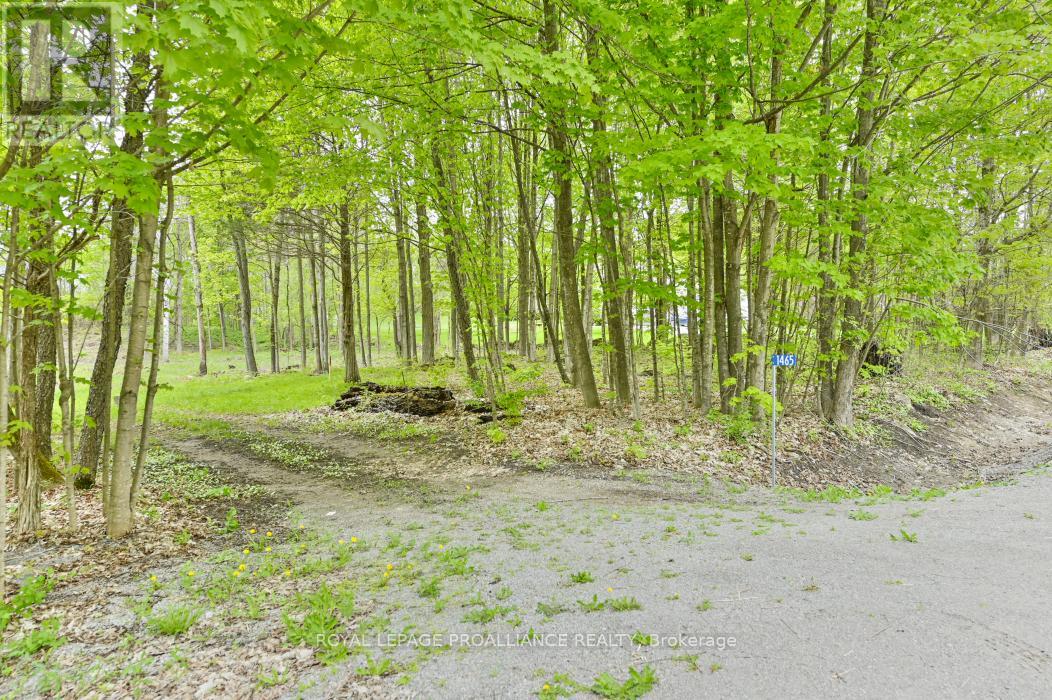 1465 PHILLIPSTON ROAD, Centre Hastings, Ontario