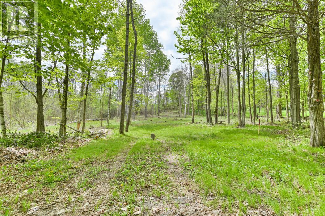 1465 Phillipston Road, Centre Hastings, Ontario  K0K 2Y0 - Photo 4 - X12376794
