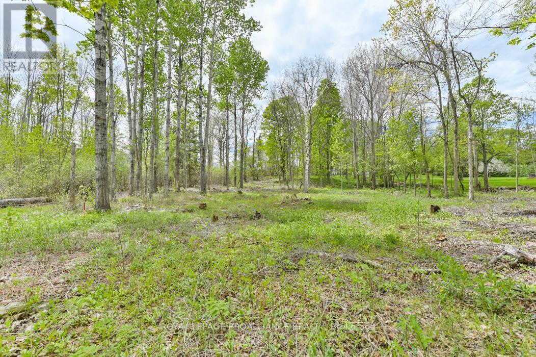 1465 Phillipston Road, Centre Hastings, Ontario  K0K 2Y0 - Photo 5 - X12376794