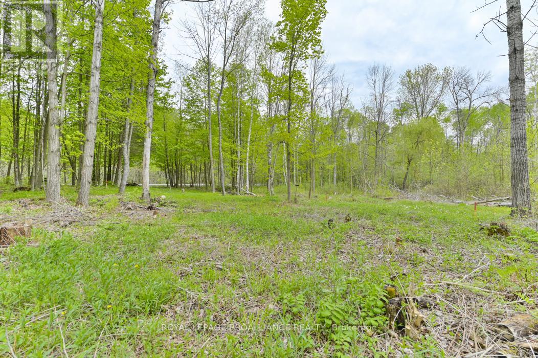 1465 Phillipston Road, Centre Hastings, Ontario  K0K 2Y0 - Photo 6 - X12376794