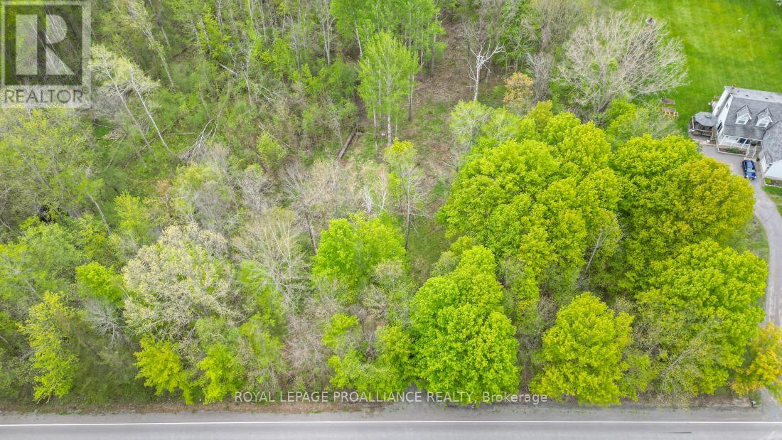 1465 Phillipston Road, Centre Hastings, Ontario  K0K 2Y0 - Photo 7 - X12376794