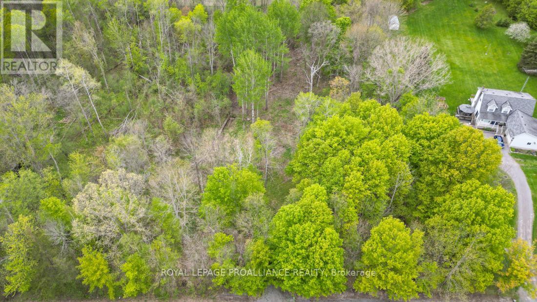 1465 Phillipston Road, Centre Hastings, Ontario  K0K 2Y0 - Photo 8 - X12376794