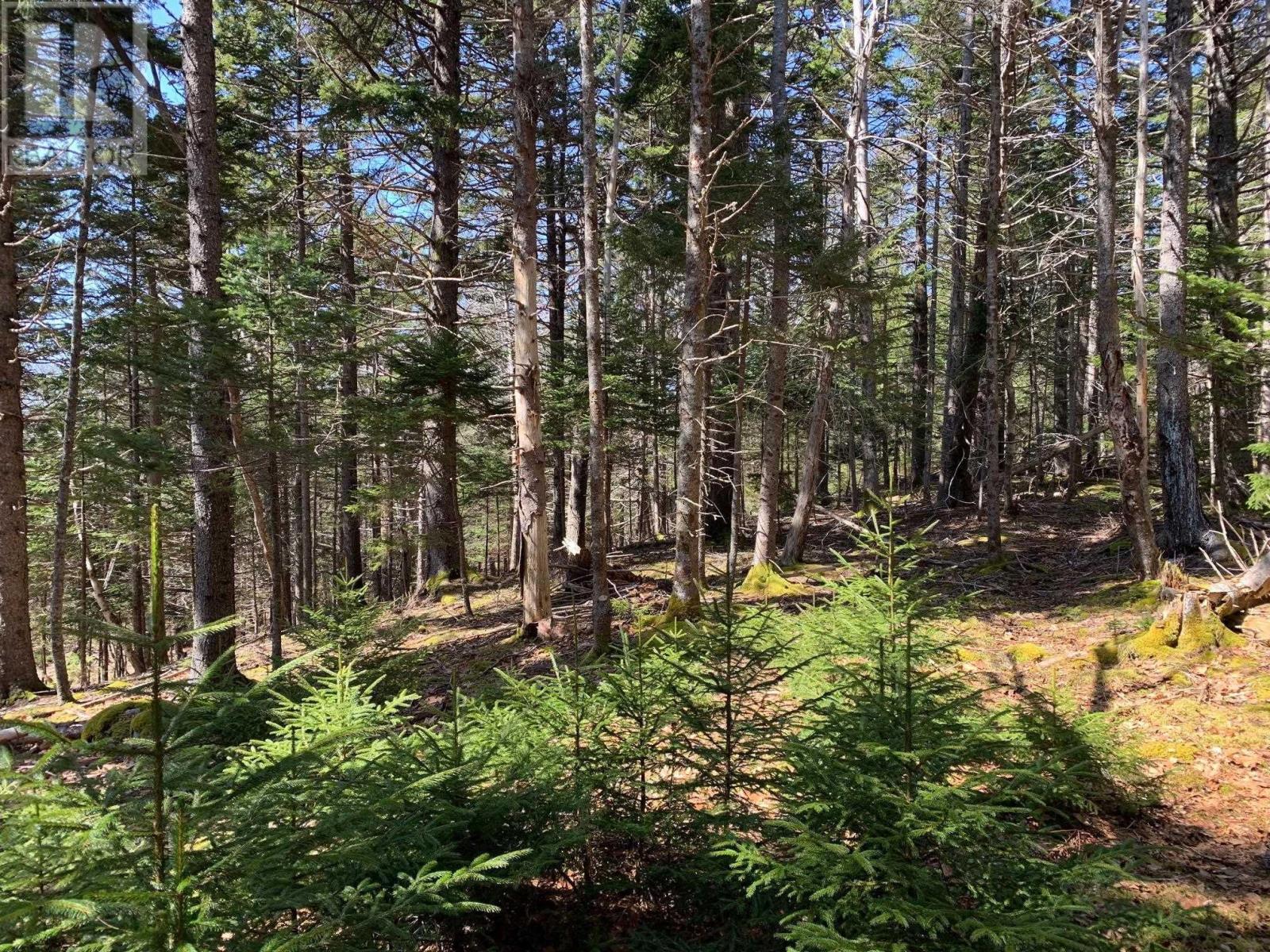 236 Princes Inlet Drive, Lunenburg, Martins Brook, Nova Scotia  B0J 2C0 - Photo 41 - 202522214