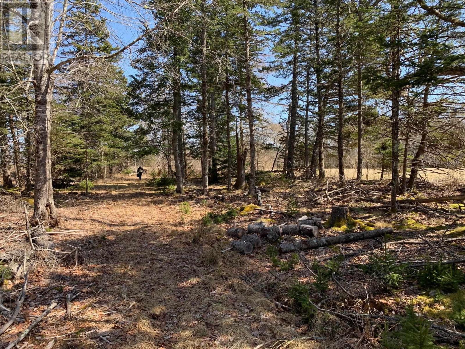 236 Princes Inlet Drive, Lunenburg, Martins Brook, Nova Scotia  B0J 2C0 - Photo 39 - 202522214