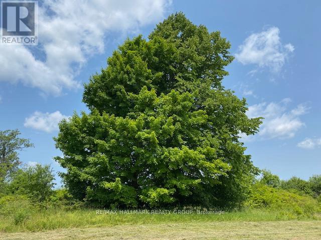 Lot 28 R13 Road, Rideau Lakes, Ontario  K0G 1L0 - Photo 9 - X12376764