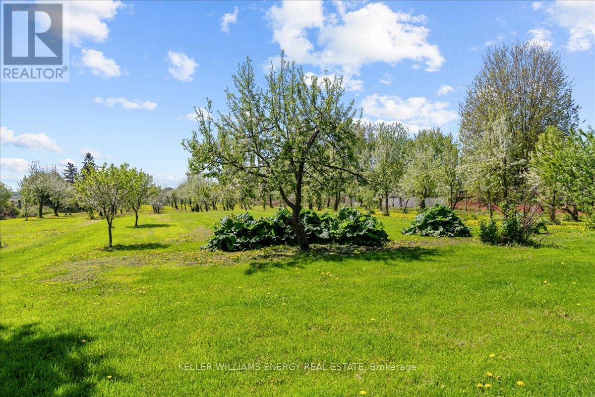 2263 Hwy 2 Highway, Clarington, Ontario  L1C 3K7 - Photo 14 - E12376933