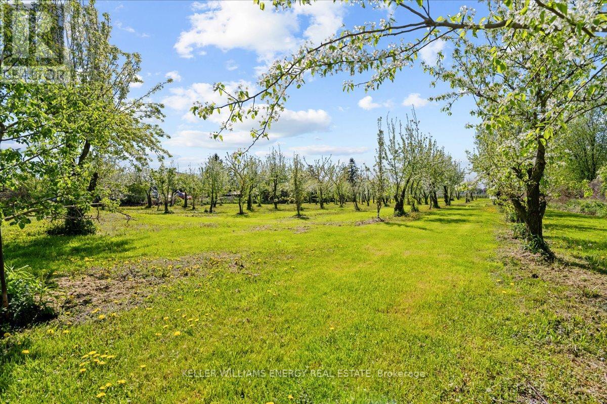 2263 Hwy 2 Highway, Clarington, Ontario  L1C 3K7 - Photo 25 - E12376943