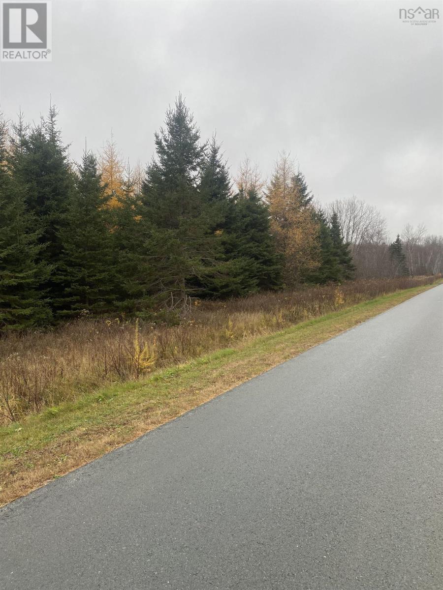 Lot 9 New Cheverie Road, Lower Burlington, Nova Scotia  B0N 1E0 - Photo 3 - 202509030