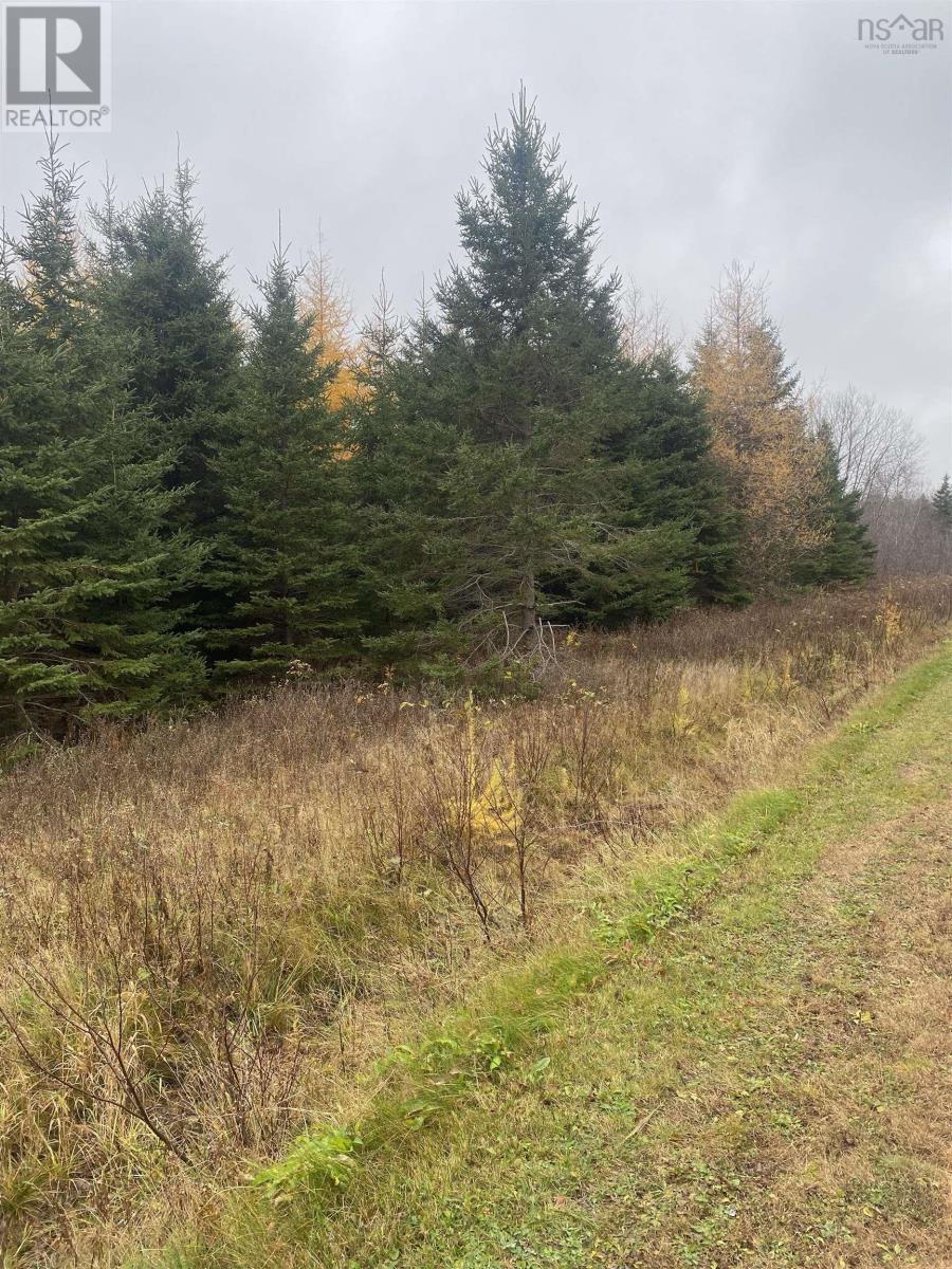 Lot 9 New Cheverie Road, Lower Burlington, Nova Scotia  B0N 1E0 - Photo 2 - 202509030