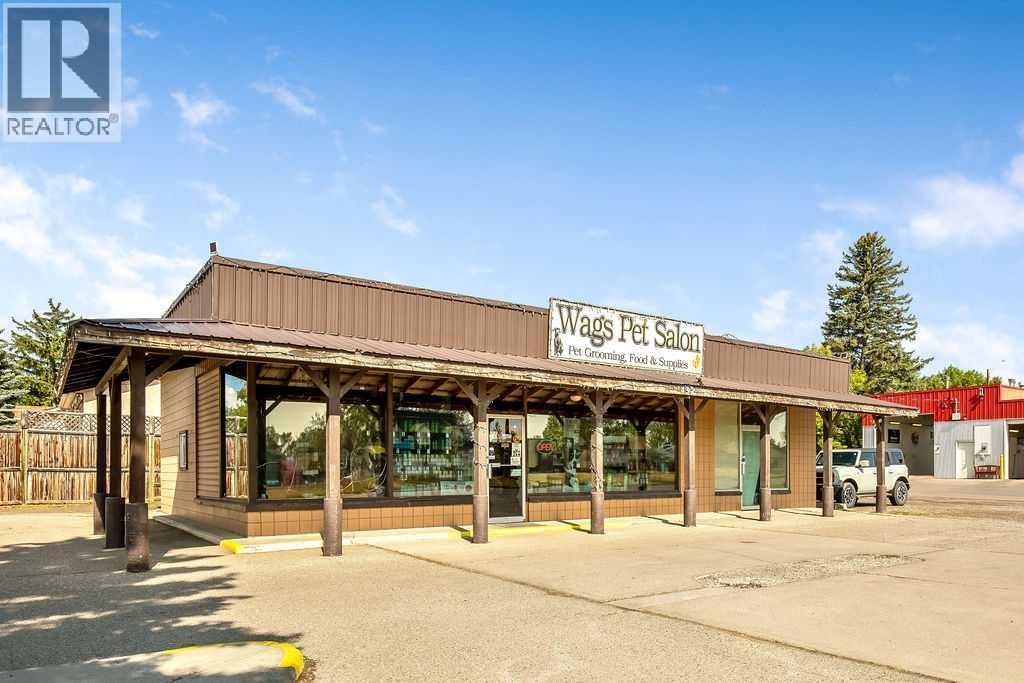 430 8 Avenue Se, High River, Alberta  T1V 1J3 - Photo 3 - A2230918