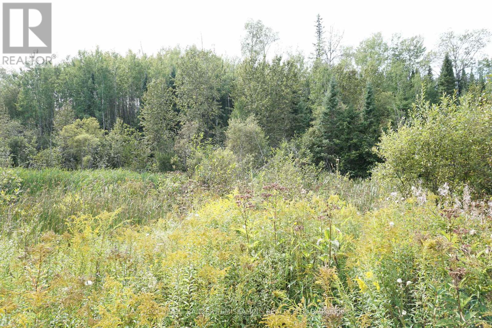 Lot 1 Campbell's Road, Timiskaming, Ontario  P0J 1B0 - Photo 25 - T12377328