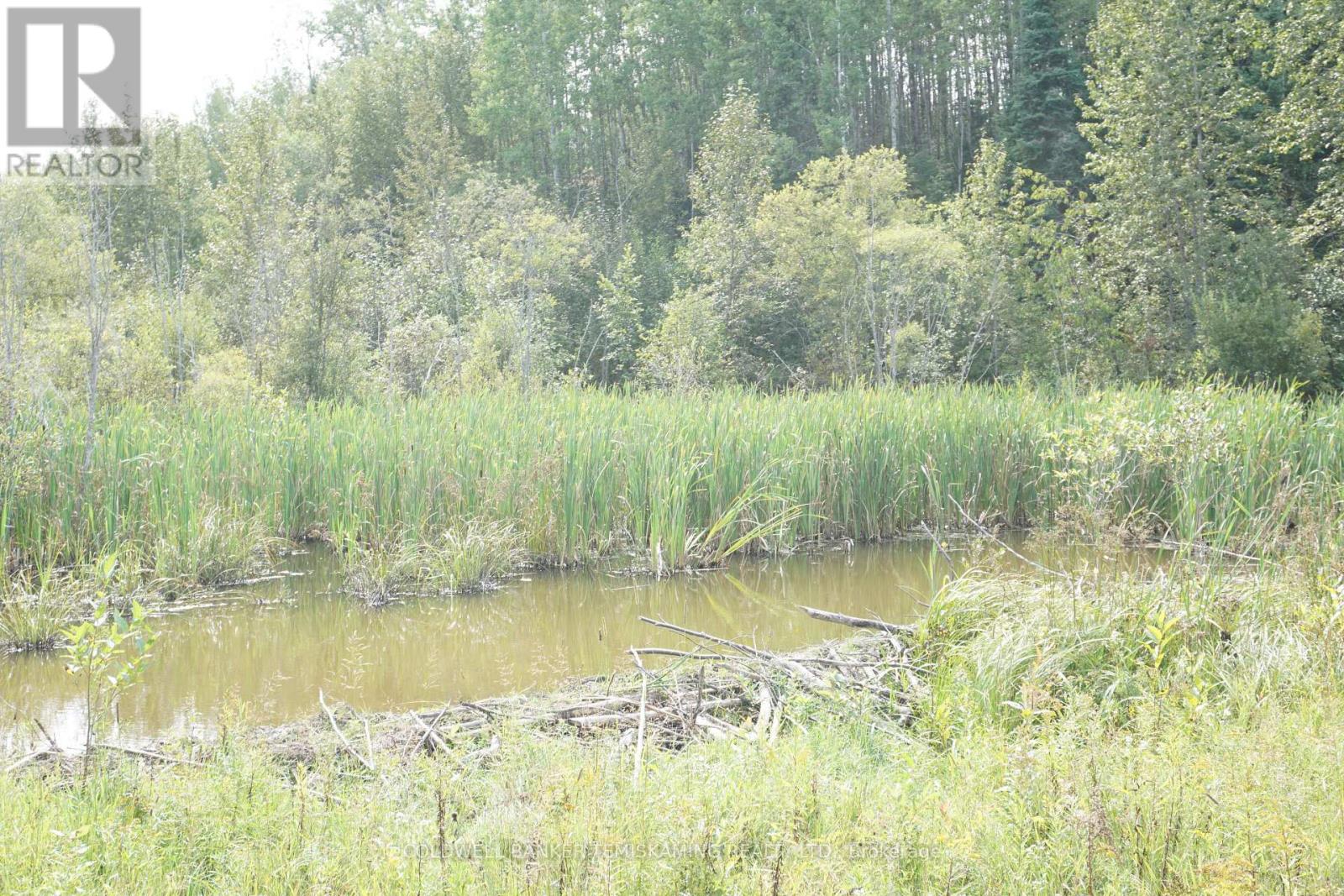 Lot 1 Campbell's Road, Timiskaming, Ontario  P0J 1B0 - Photo 26 - T12377328