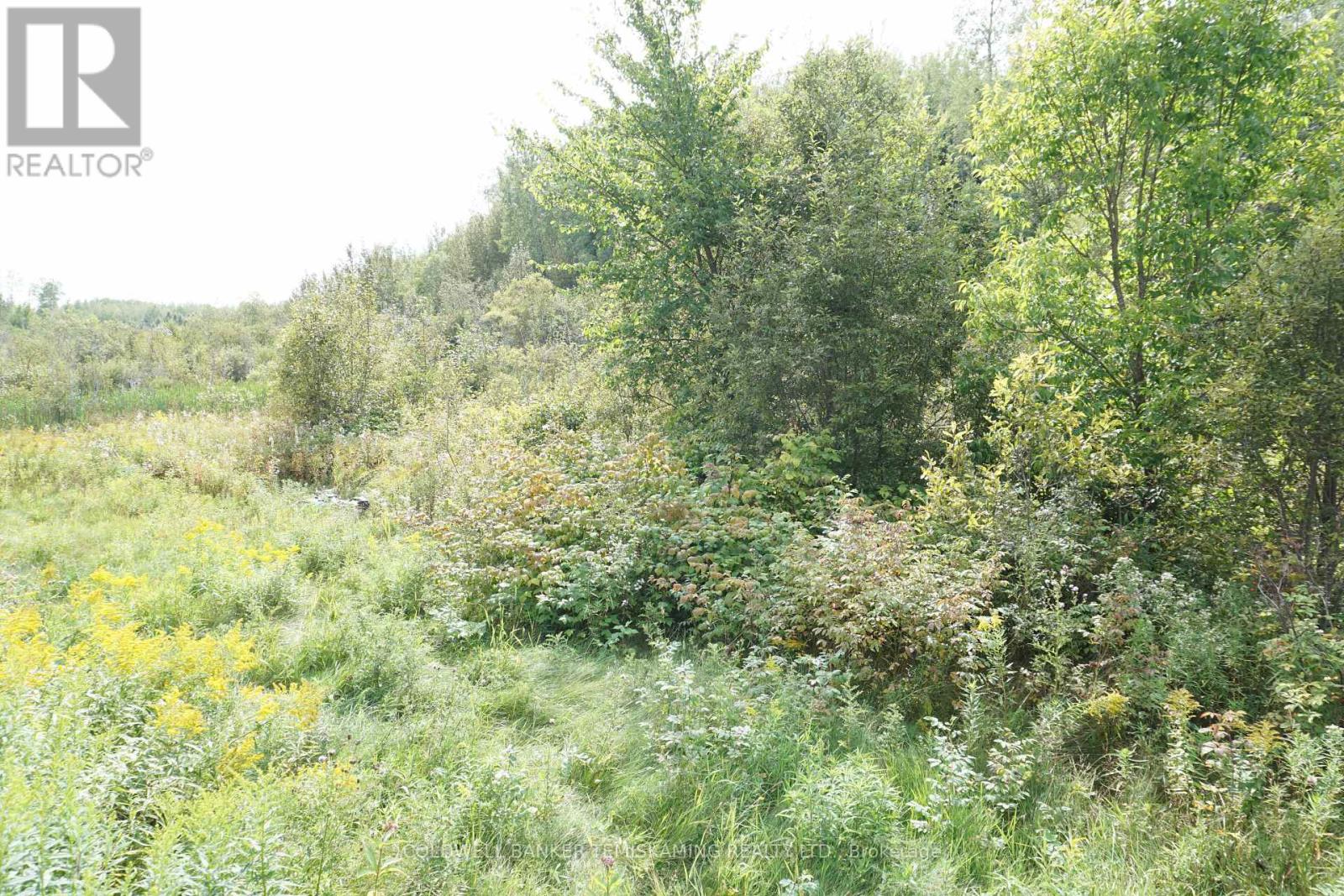 Lot 1 Campbell's Road, Timiskaming, Ontario  P0J 1B0 - Photo 33 - T12377328