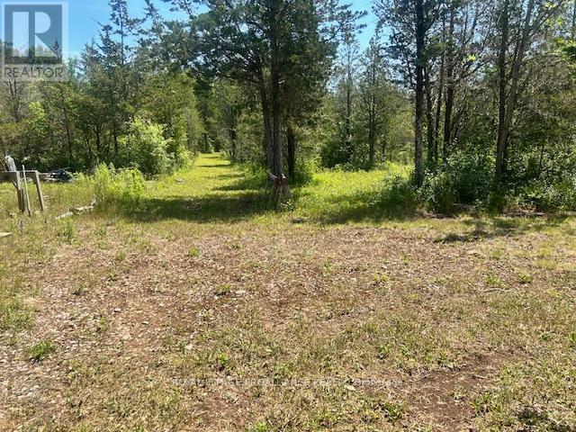 1569 County Road 24, Prince Edward County, Ontario  K0K 2P0 - Photo 4 - X12377521