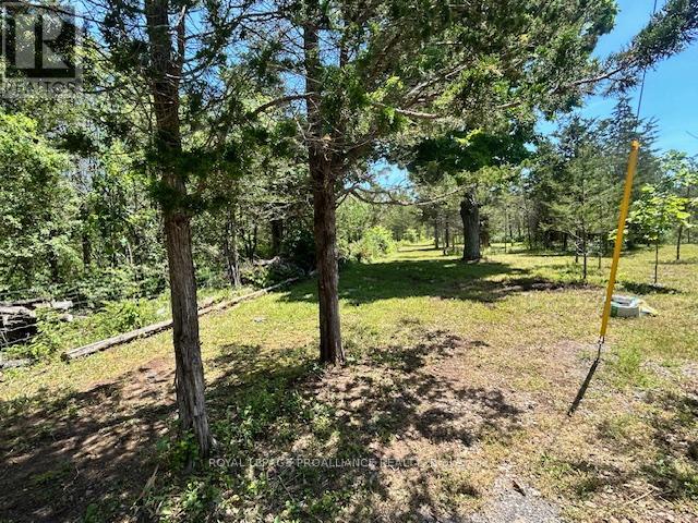 1569 County Road 24, Prince Edward County, Ontario  K0K 2P0 - Photo 5 - X12377521