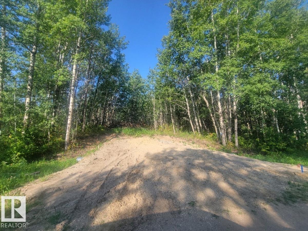 #5, Rr 203a & Twp Rd 502, Rural Beaver County, Alberta  T0B 4J2 - Photo 2 - E4455384
