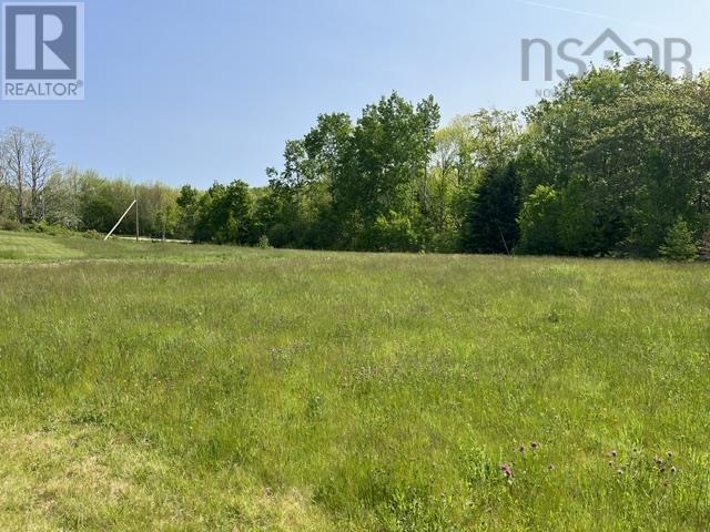 1129 Mckenzie Mountain Road, Litchfield, Nova Scotia  B0V 1A0 - Photo 2 - 202513490