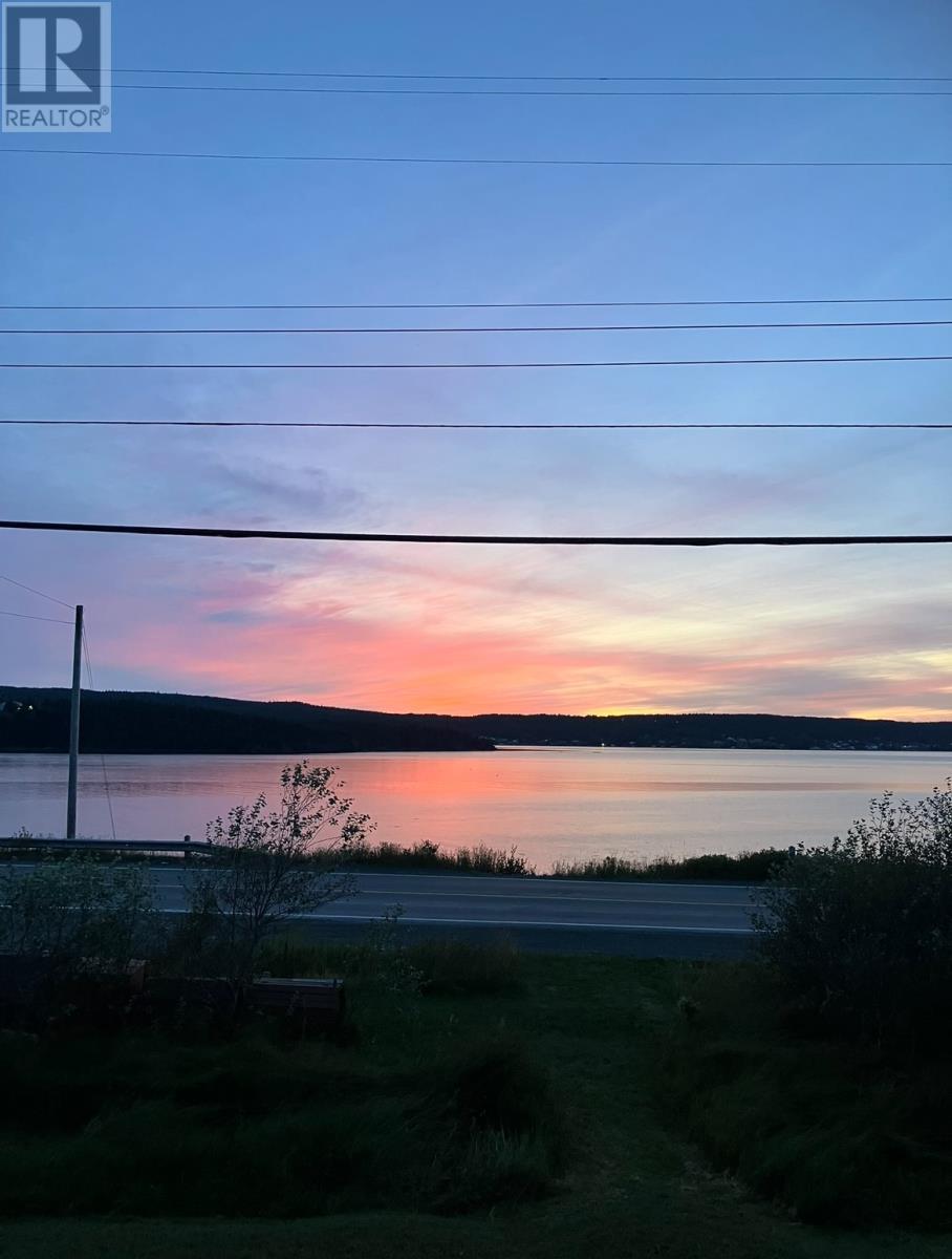 66 Main Road, South Dildo, Newfoundland & Labrador  A0B 1R0 - Photo 10 - 1289875