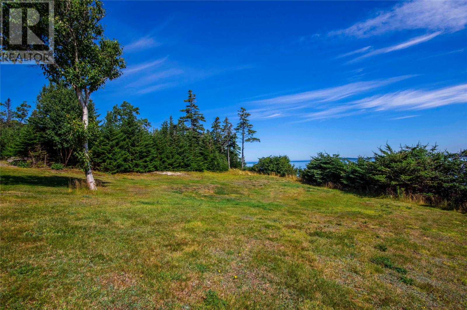 19 Burnt Point Road, Spread Eagle, Newfoundland & Labrador  A0B 1L0 - Photo 9 - 1289948