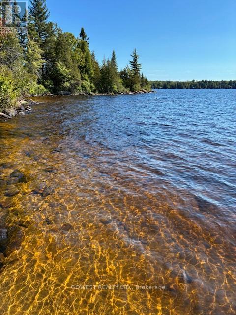 5993c Highway 124 Highway, Magnetawan, Ontario  P0A 1A0 - Photo 27 - X12338468