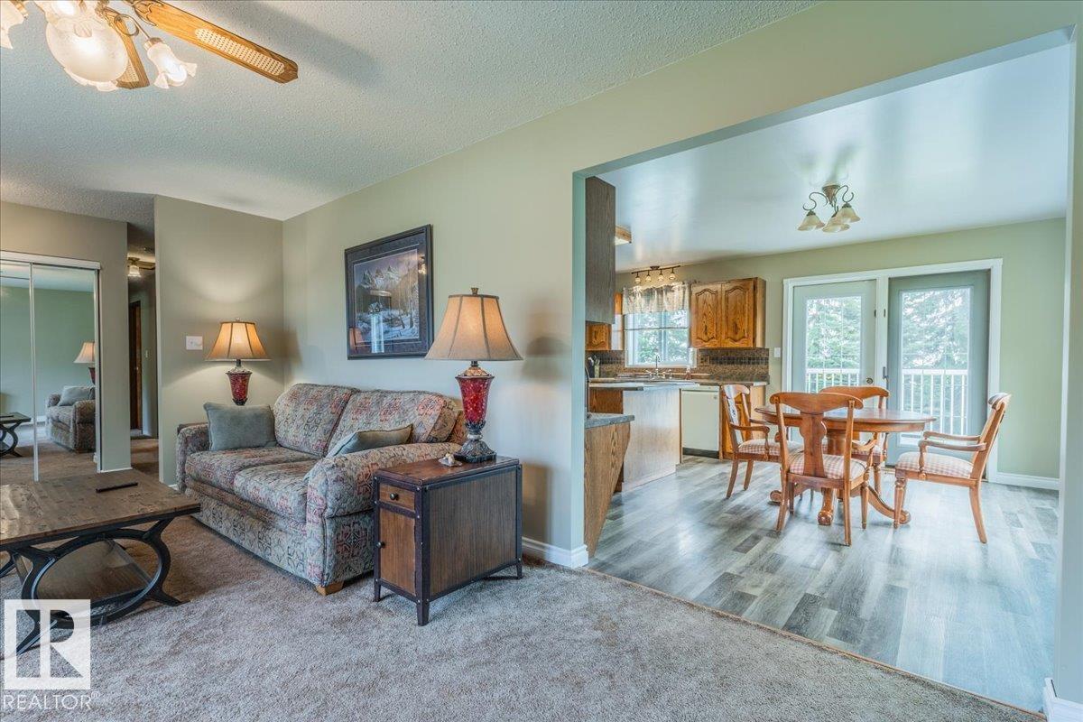 460077 Rge Road 253, Rural Wetaskiwin County, Alberta  T9A 1X2 - Photo 7 - E4452372