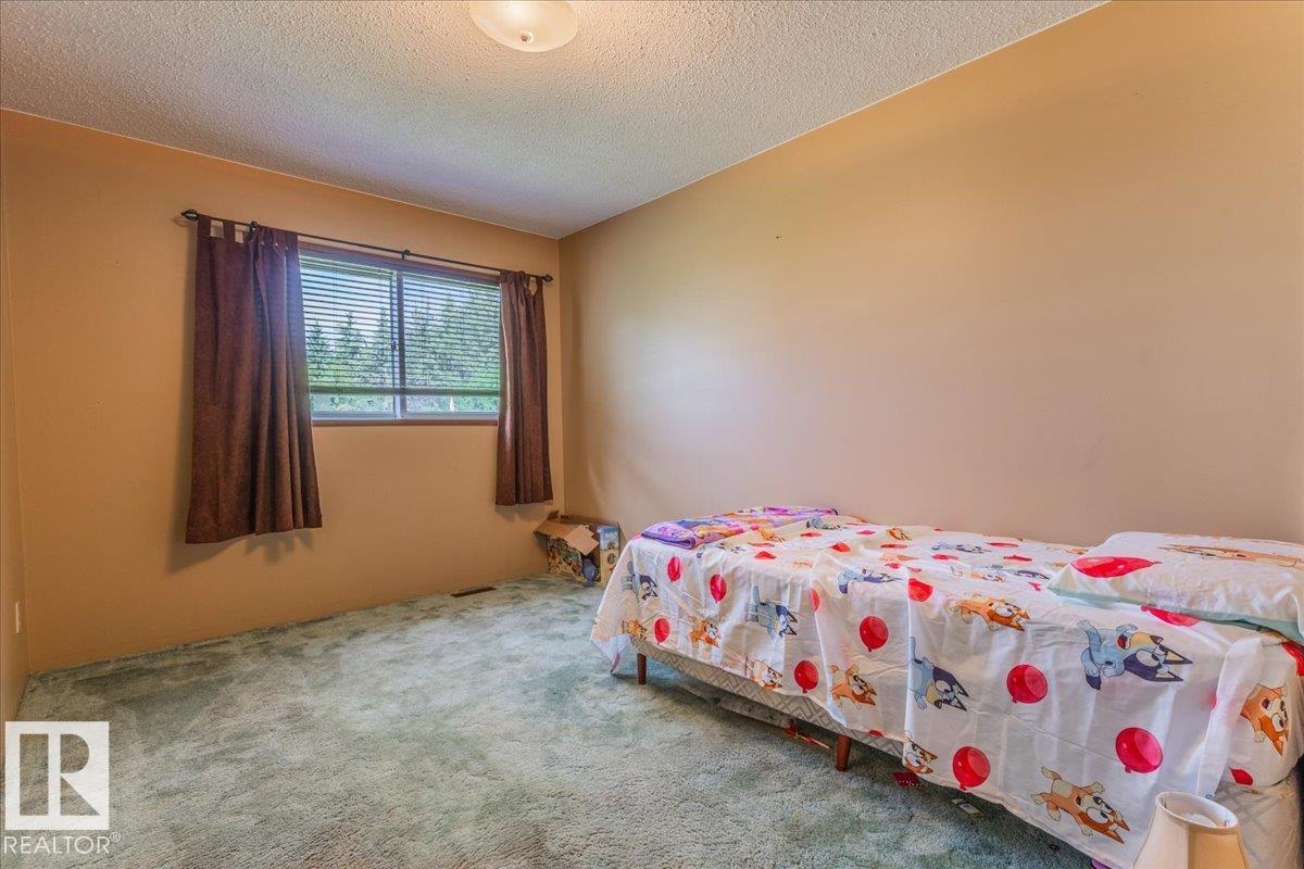 460077 Rge Road 253, Rural Wetaskiwin County, Alberta  T9A 1X2 - Photo 18 - E4452372