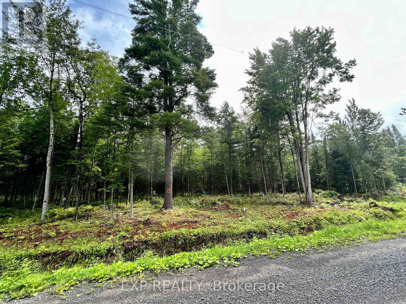 0 14 Route, Alfred And Plantagenet, Ontario  K0B 1L0 - Photo 14 - X12377938