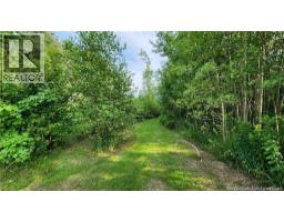 7.6 acres Rue Pinet, Bertrand, New Brunswick