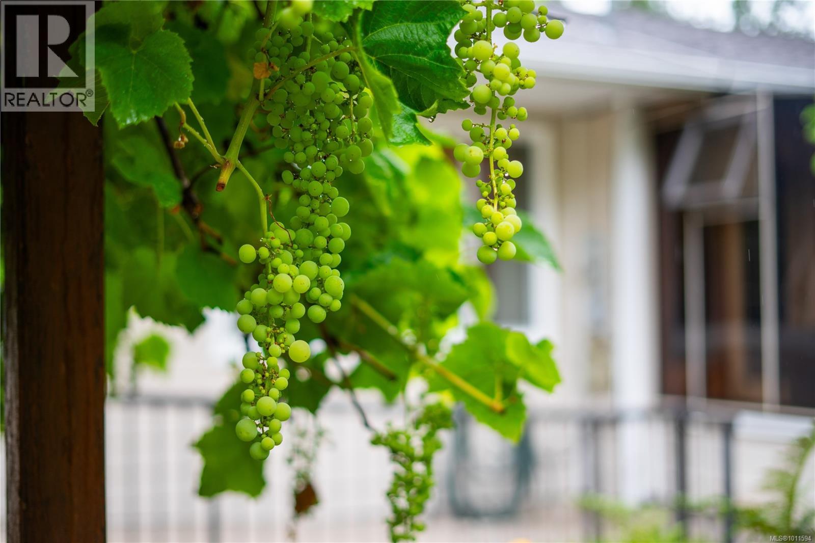 714 Bradley Dyne Rd, North Saanich, British Columbia  V8L 5G9 - Photo 61 - 1011594