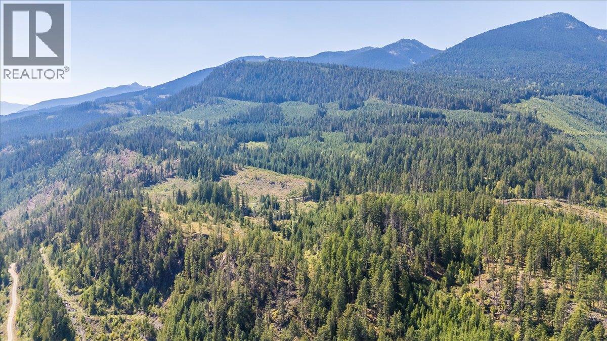 DL 591 CODY CS FSR Avenue, Ainsworth, British Columbia
