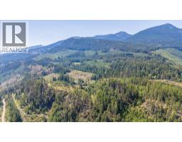 DL 591 CODY CS FSR Avenue, ainsworth, British Columbia