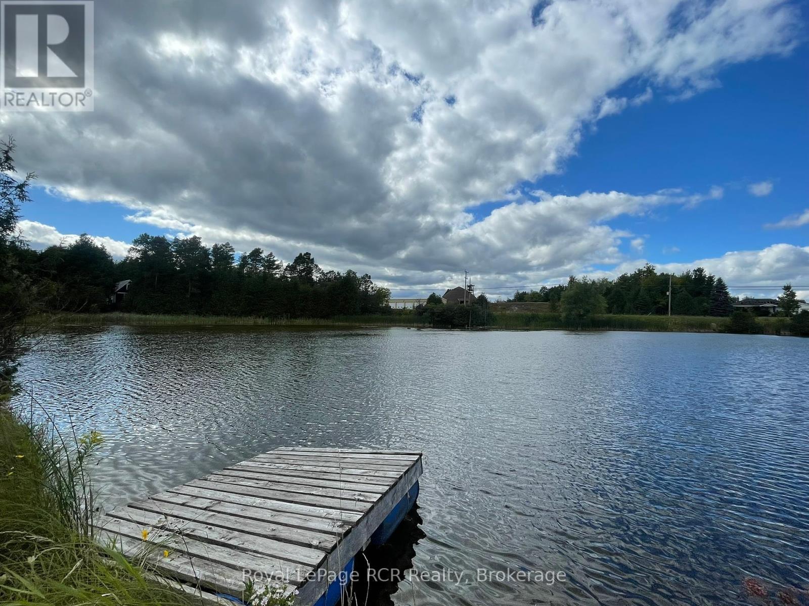 121 Collingwood Street, Grey Highlands, Ontario  N0C 1E0 - Photo 36 - X12378341
