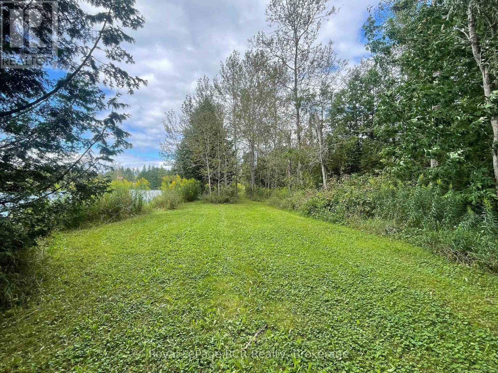 121 Collingwood Street, Grey Highlands, Ontario  N0C 1E0 - Photo 38 - X12378341