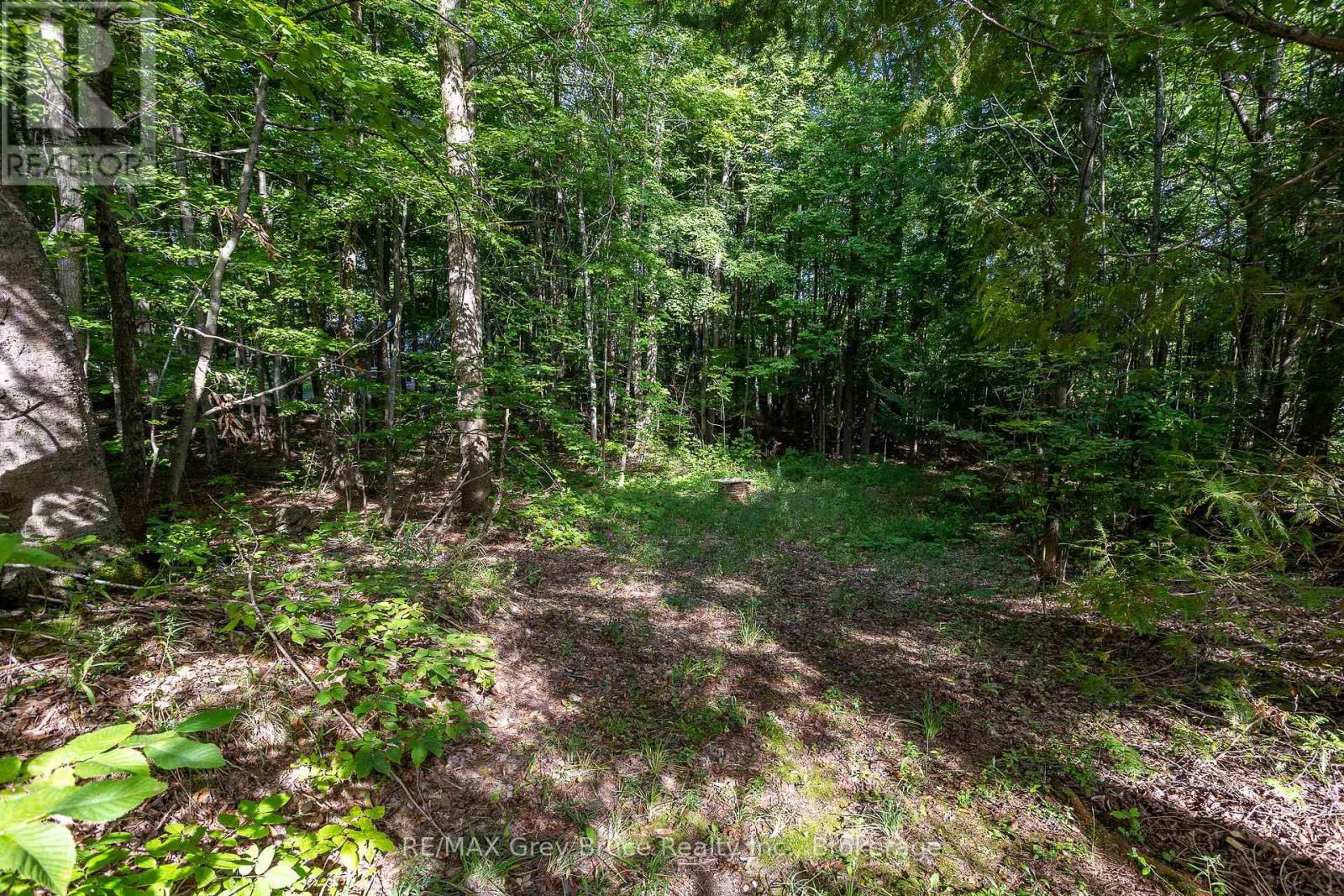 103777 Grey Road 18 Road, Meaford, Ontario  N4K 5N8 - Photo 35 - X12378434