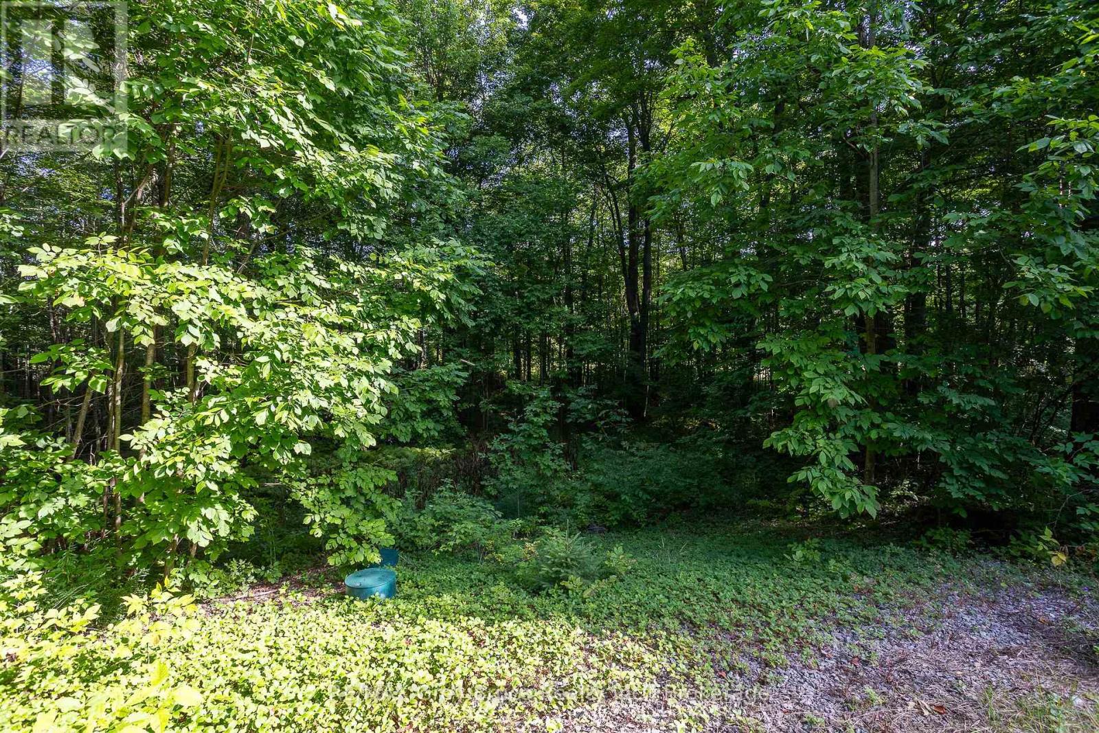 103777 Grey Road 18 Road, Meaford, Ontario  N4K 5N8 - Photo 40 - X12378434