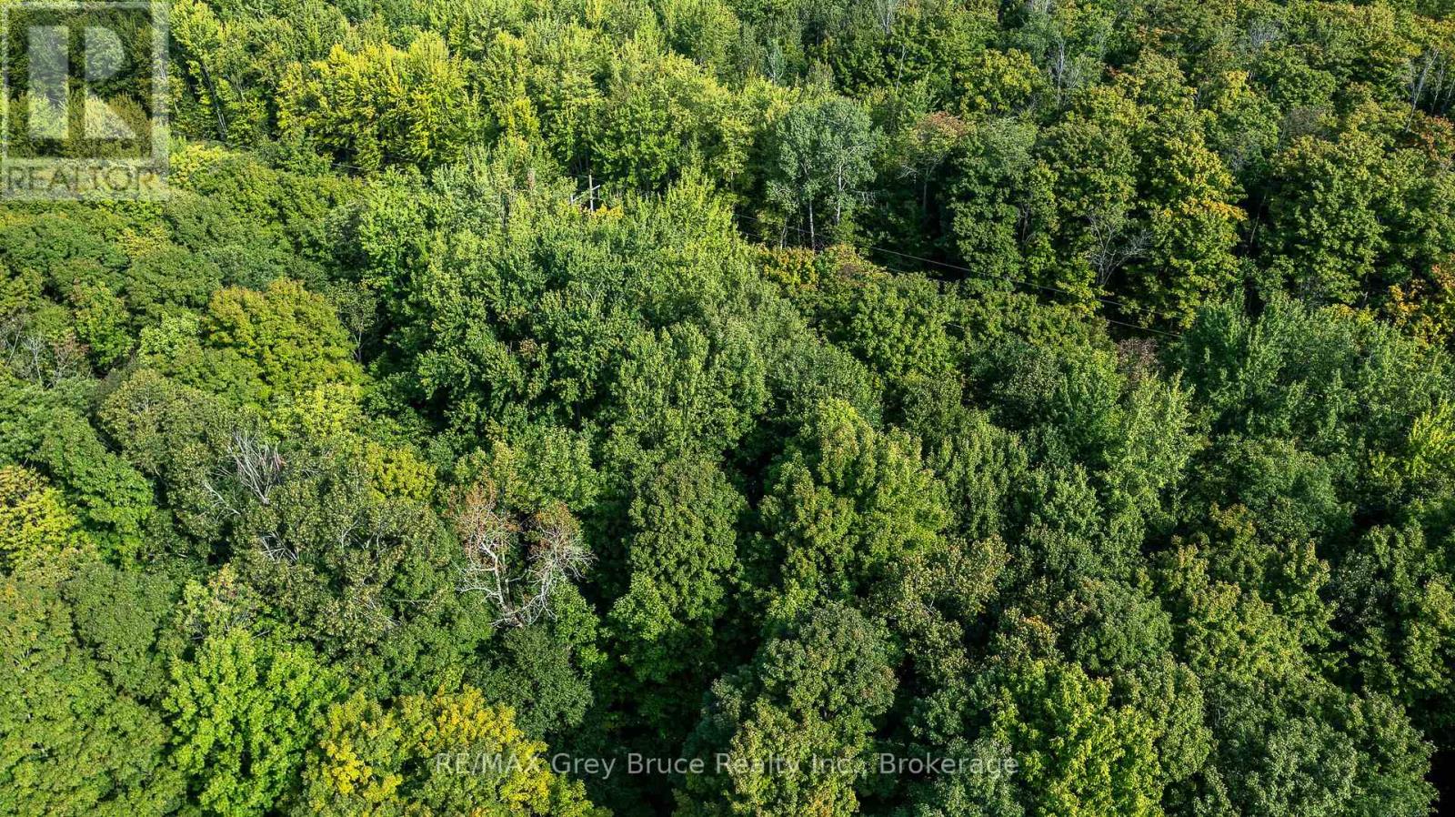 103777 Grey Road 18 Road, Meaford, Ontario  N4K 5N8 - Photo 42 - X12378434