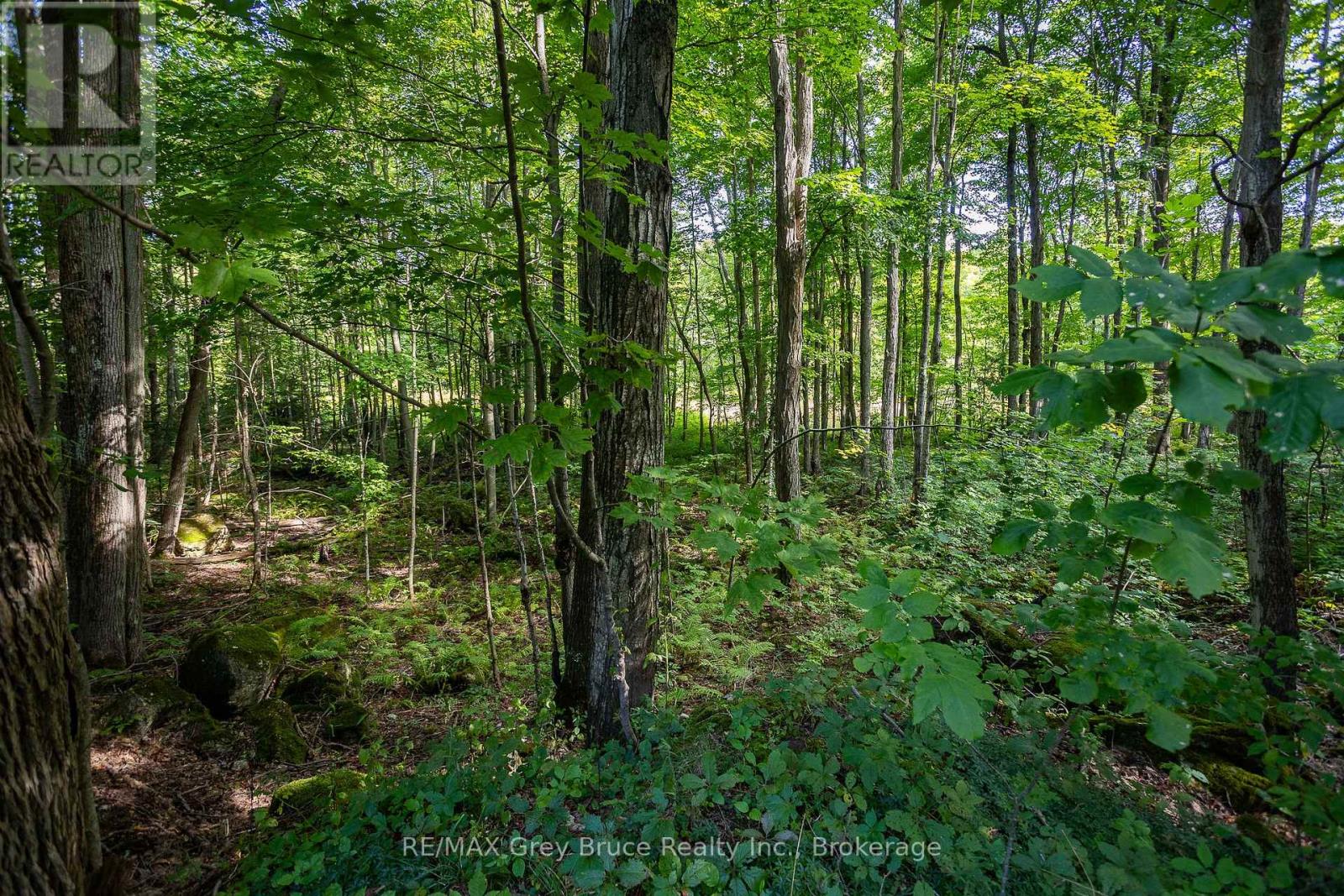 103777 Grey Road 18 Road, Meaford, Ontario  N4K 5N8 - Photo 43 - X12378434
