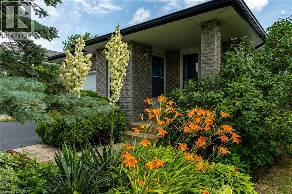 Property at 53 NORTHRIDGE Drive image 4