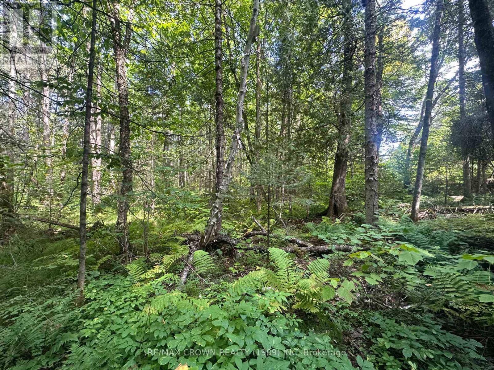 Lt 17 Con 13 Richards Road, Mattawa, Ontario  P0H 1V0 - Photo 6 - X12378518