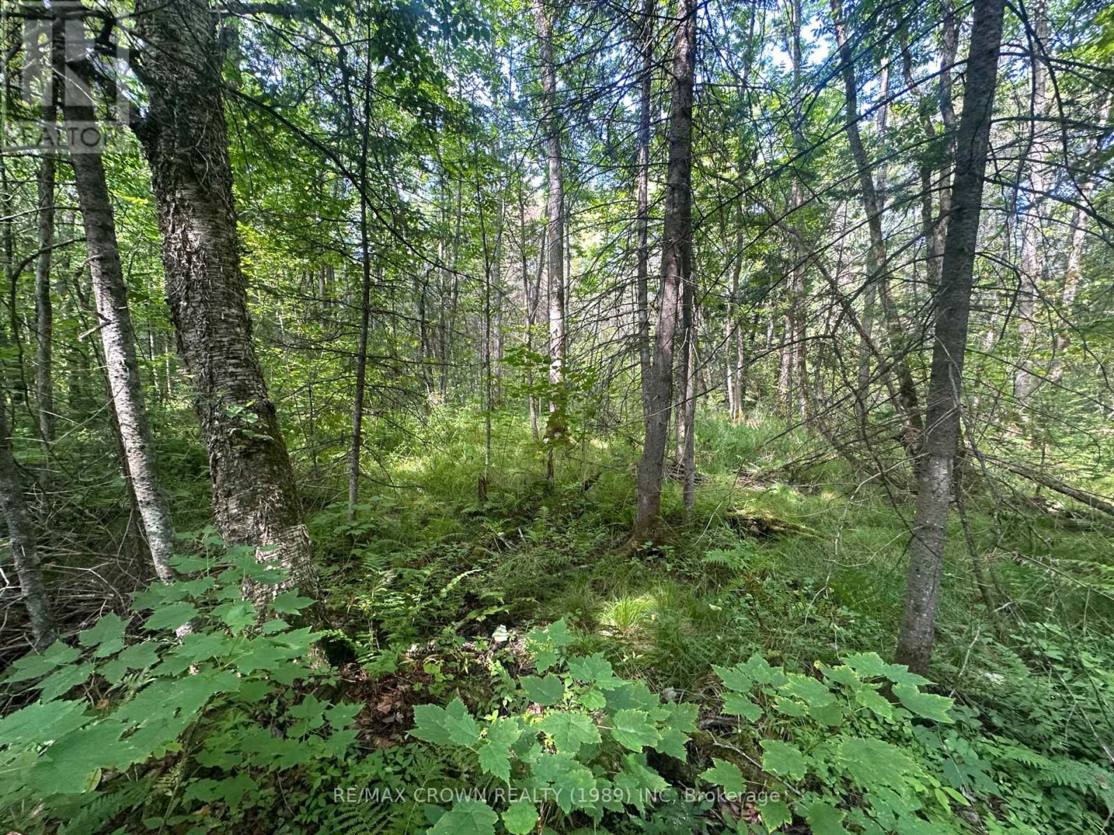 Lt 17 Con 13 Richards Road, Mattawa, Ontario  P0H 1V0 - Photo 7 - X12378518