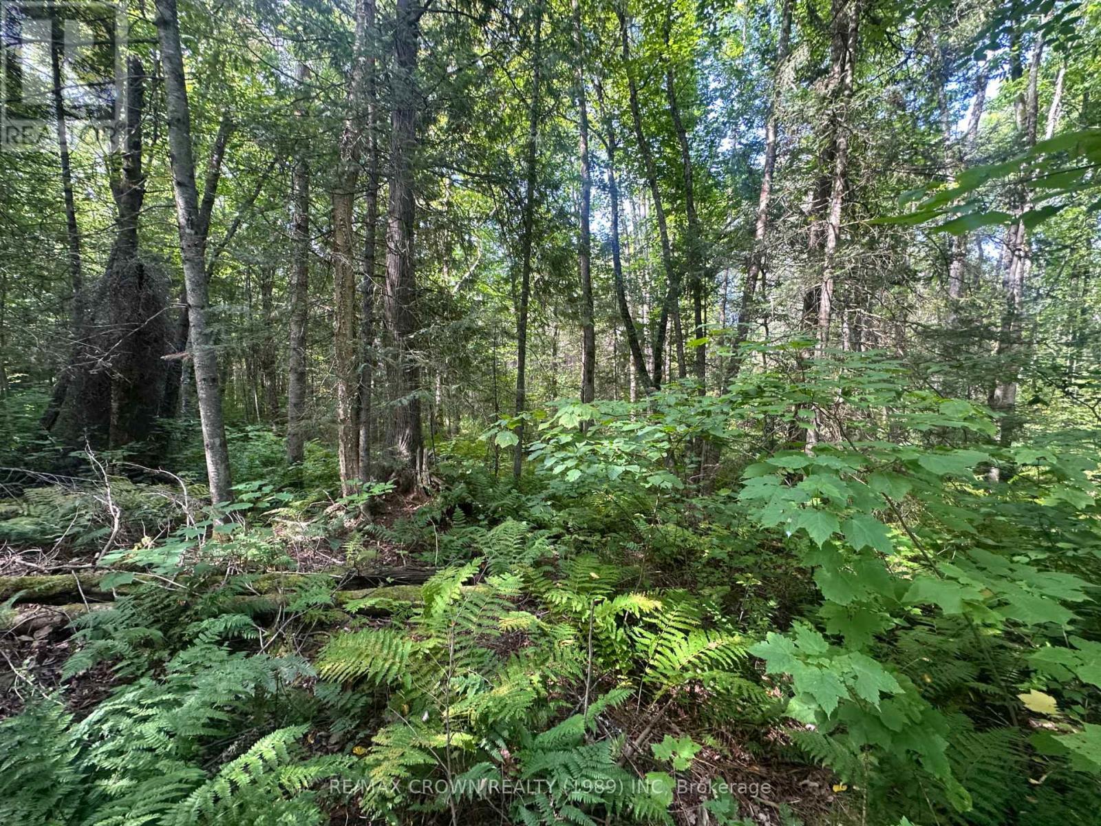 Lt 17 Con 13 Richards Road, Mattawa, Ontario  P0H 1V0 - Photo 8 - X12378518