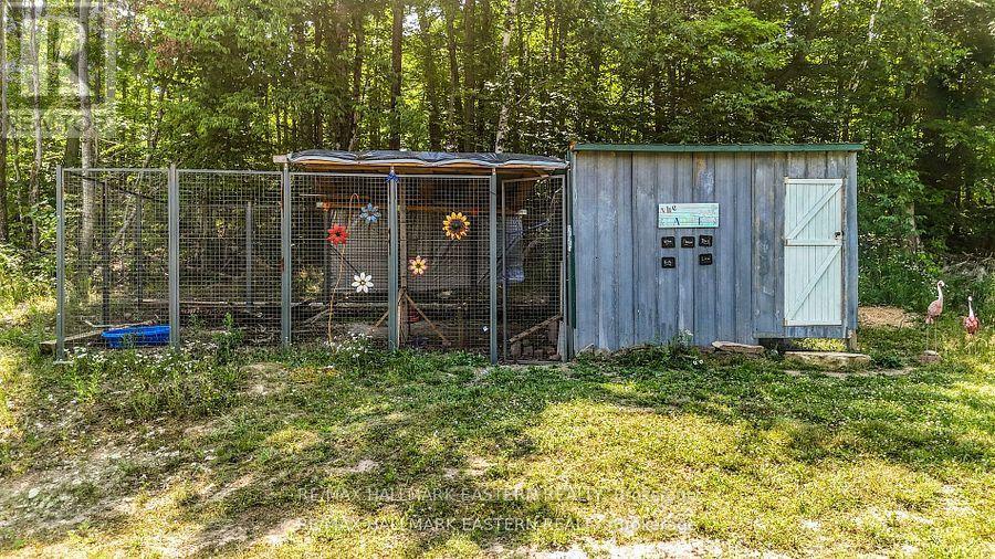 47 Vansickle Trail, Havelock-Belmont-Methuen, Ontario  K0L 1Z0 - Photo 5 - X12378584