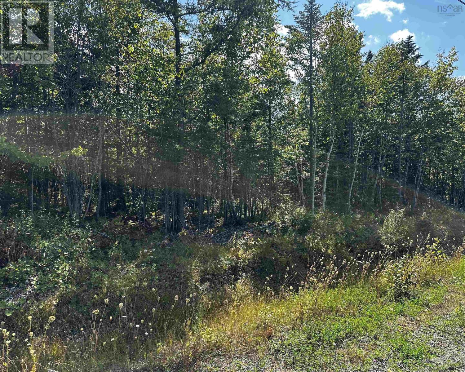 Blaze Road, The Banks Of Loch Lomond, Loch Lomond, Nova Scotia  B2E 1A4 - Photo 11 - 202522296