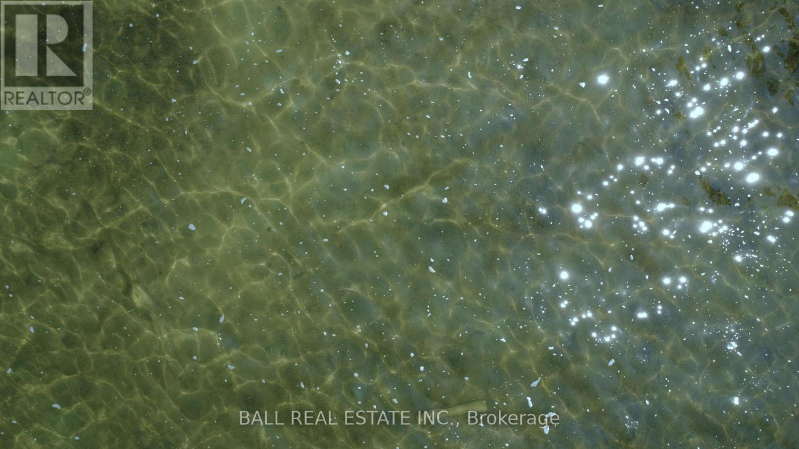 154 Julian Lake Road, North Kawartha, Ontario  K0L 3E0 - Photo 11 - X12375652