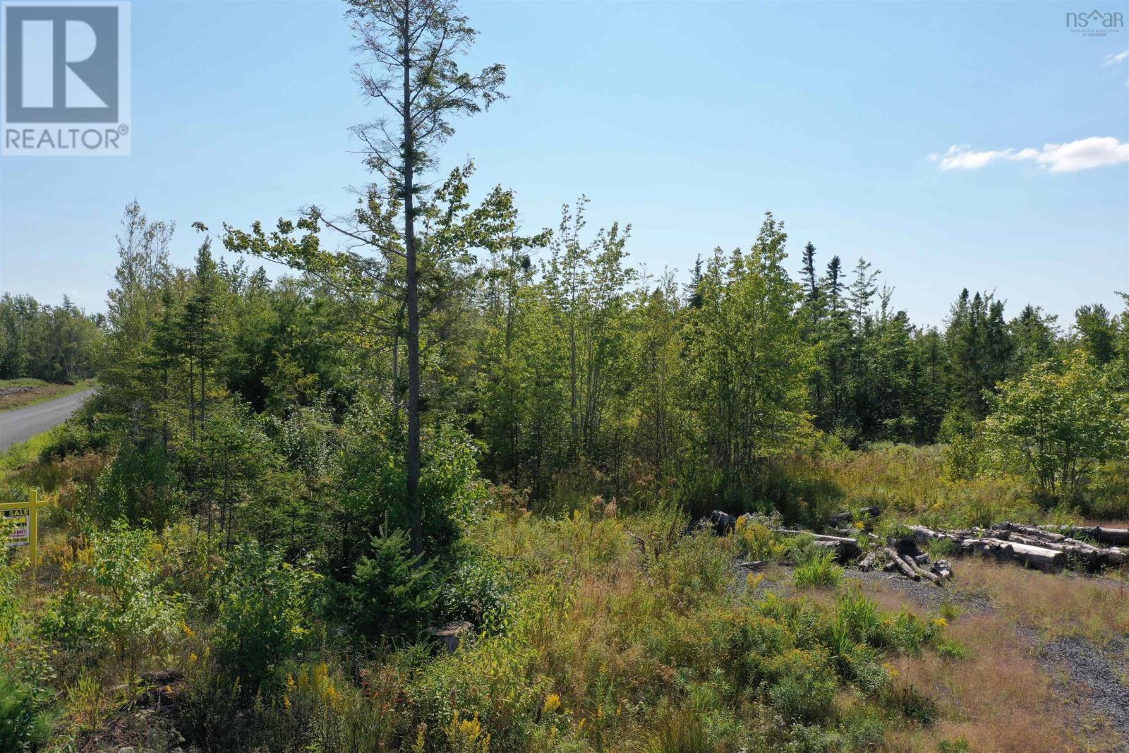Land Beck Road, Scotch Hill, Nova Scotia  B0K 1H0 - Photo 9 - 202522298