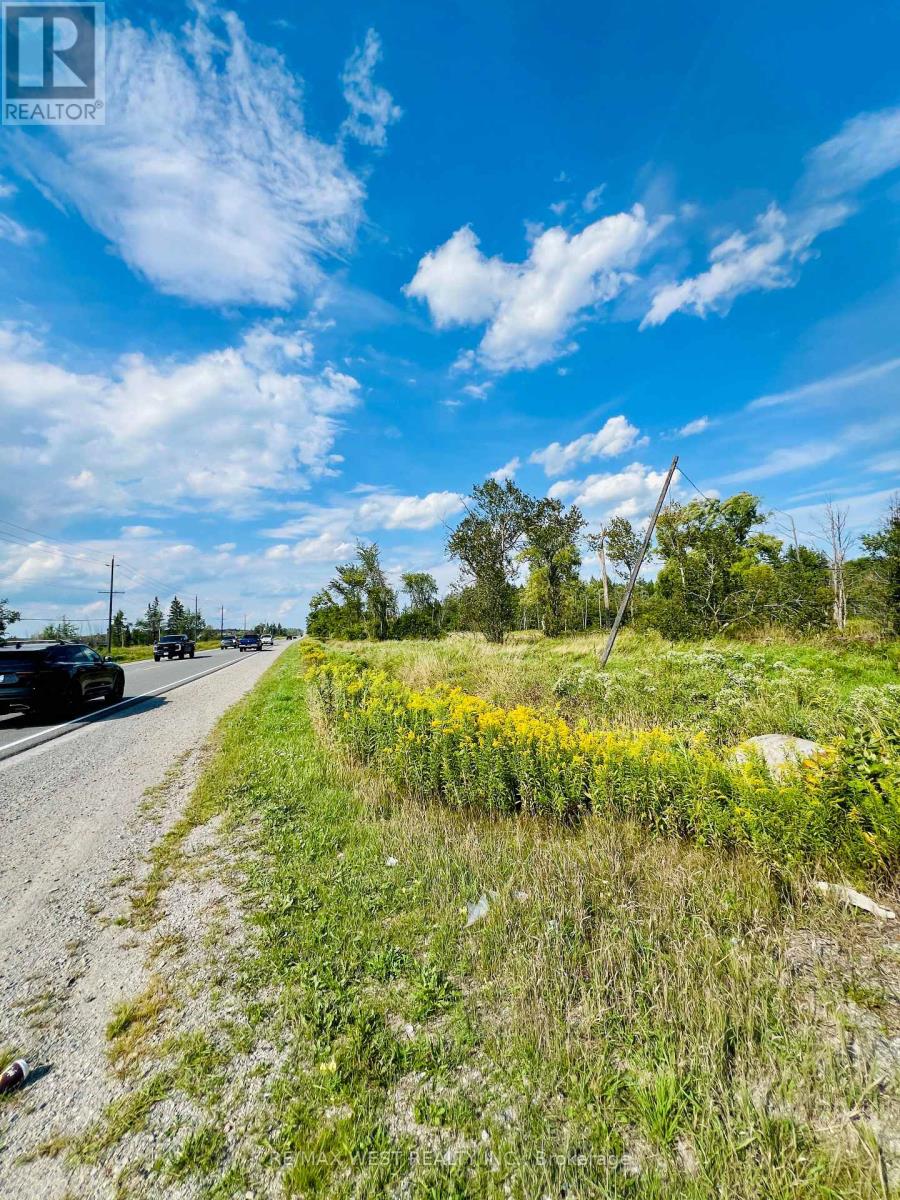 19983 Hwy 48, East Gwillimbury, Ontario  L1G 1M0 - Photo 11 - N12356502